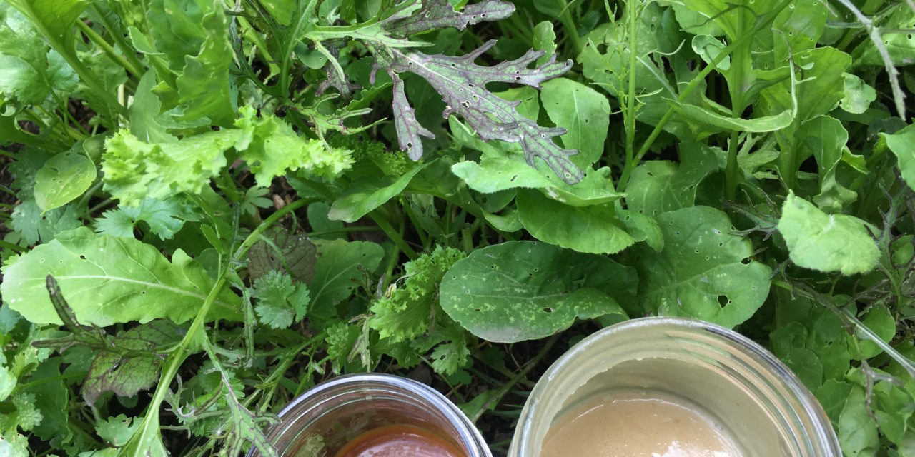 Cooking with Junior: Lettuce Begin