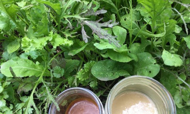 Cooking with Junior: Lettuce Begin