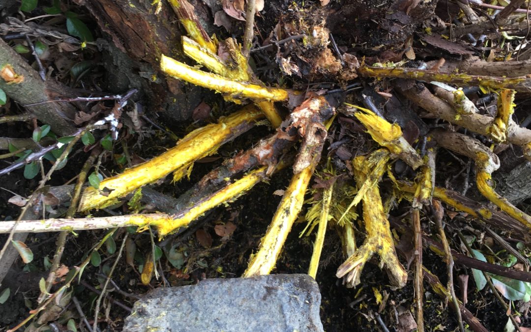 40 Daze: This Time It’s Personal