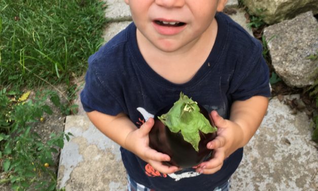 Cooking with Junior: Sleepless in Tahini