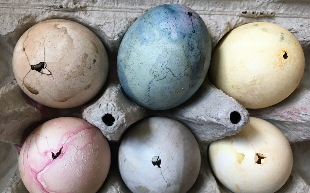 Lenty Twenty: A Tomb Is