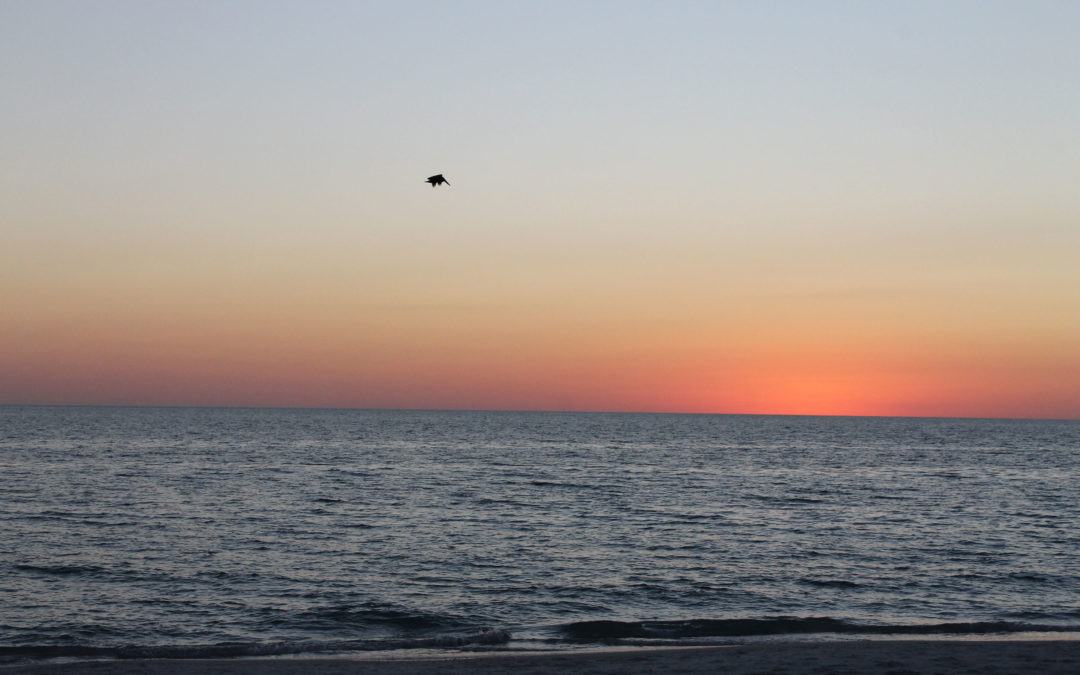 When You Need A Sine